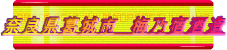 ޗǌs@~Th