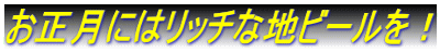 ɂ̓b`Ȓnr[I